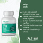 Slika proizvoda DR.PLANT Kelp prah 100g iz online apoteke Moja Farmacija - BIH