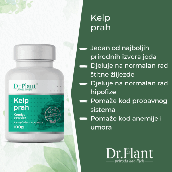 Slika proizvoda DR.PLANT Kelp prah 100g iz online apoteke Moja Farmacija - BIH
