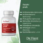 Slika proizvoda DR. PLANT Bio Reishi prah 100g iz online apoteke Moja Farmacija - BIH