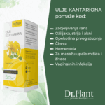Slika proizvoda Dr. PLANT Ulje kantariona iz online apoteke Moja Farmacija - BIH