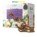 Slika proizvoda Dr.PLANT Čaj lincura korijen iz online apoteke Moja Farmacija - BIH